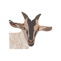 My Goat Manager - Farming app